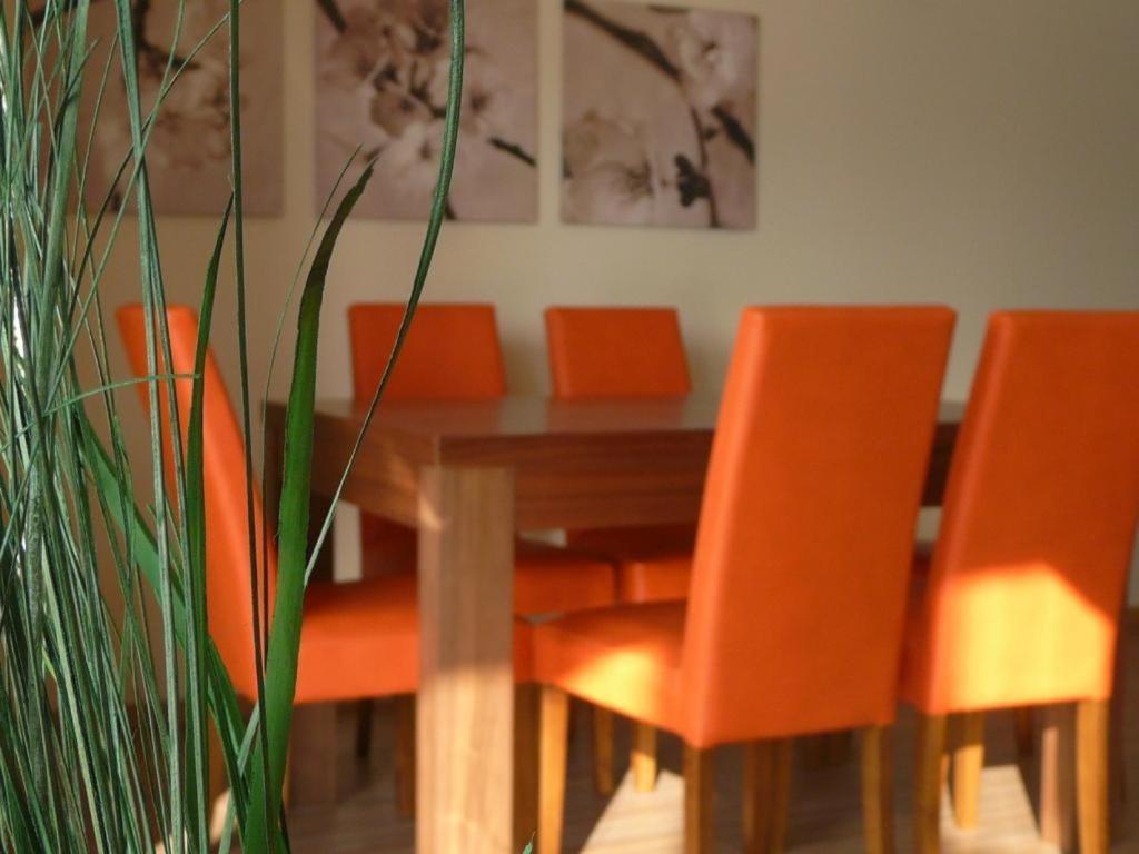 Apartamenty Wislany Brzeg Ustron Exterior photo